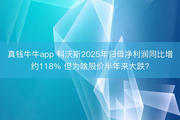 真钱牛牛app 科沃斯2025年归母净利润同比增约118% 但为啥股价半年来大跌?